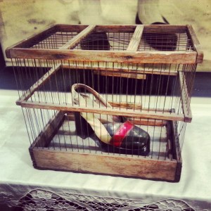 ქალის ბედი აღმოსავლეთში. სერგო ფარაჯანოვი